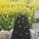 黄山旅游 缩略图 2