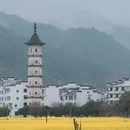 黄山旅游 缩略图 3