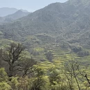 黄山旅游 缩略图 3