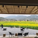 黄山旅游 缩略图 1
