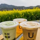 黄山旅游 缩略图 2