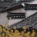 黄山旅游 缩略图 10