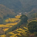 黄山旅游 缩略图 6