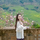 黄山旅游 缩略图 7