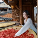 黄山旅游 缩略图 2