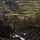 黄山旅游 缩略图 11