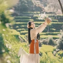 黄山旅游 缩略图 9
