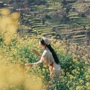 黄山旅游 缩略图 7