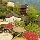 黄山旅游 缩略图 9