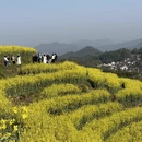 黄山旅游 缩略图 10