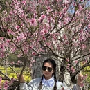 黄山旅游 缩略图 9