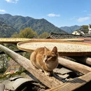 上饶旅游 缩略图 2