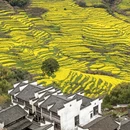 上饶旅游 缩略图 6