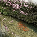 上饶旅游 缩略图 10