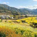 上饶旅游 缩略图 15