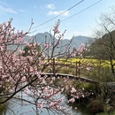 上饶旅游 缩略图 12