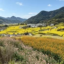 上饶旅游 缩略图 14