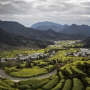 黄山旅游 缩略图 3