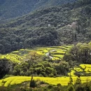 黄山旅游 缩略图 7