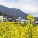 黄山旅游 缩略图 8