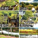 黄山旅游 缩略图 2