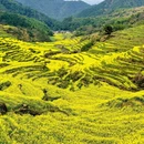上饶旅游 缩略图 4