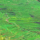 上饶旅游 缩略图 5
