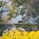 上饶旅游 缩略图 4