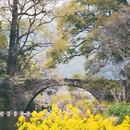 上饶旅游 缩略图 5