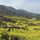 黄山旅游 缩略图 2