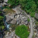 黄山旅游 缩略图 7