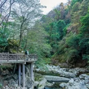 黄山旅游 缩略图 10