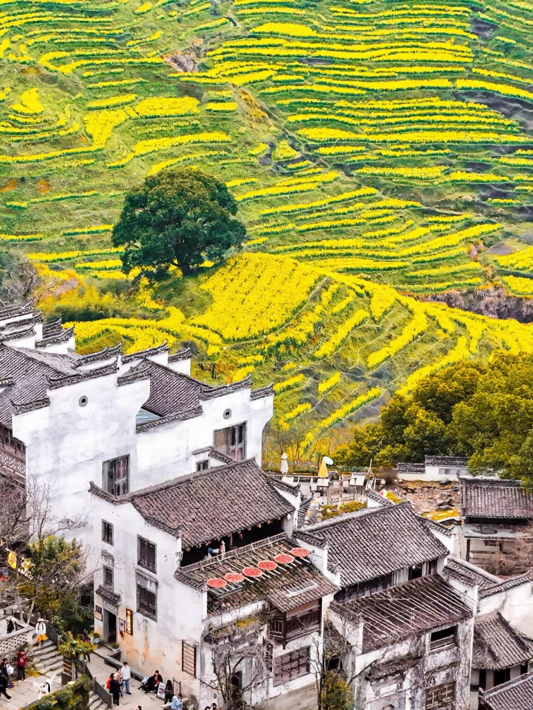 黄山旅游