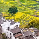 黄山旅游 缩略图 1