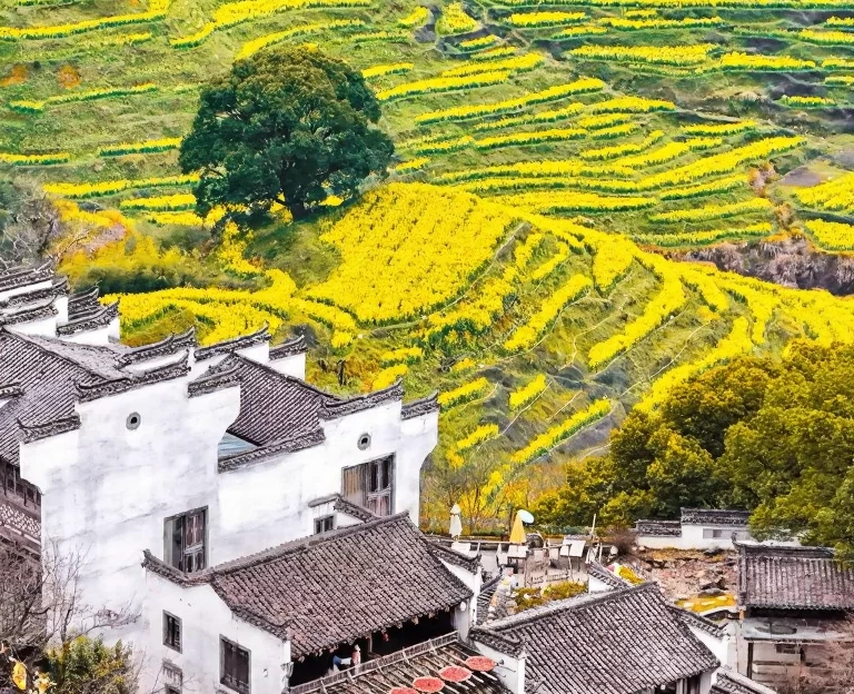 黄山旅游 1