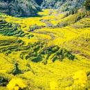 黄山旅游 缩略图 6
