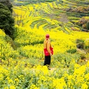 黄山旅游 缩略图 8
