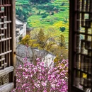 黄山旅游 缩略图 7