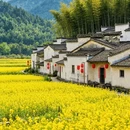 黄山旅游 缩略图 1