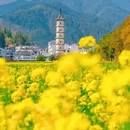 黄山旅游 缩略图 4