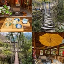 黄山旅游 缩略图 18