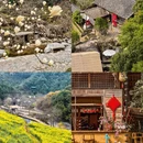 黄山旅游 缩略图 15