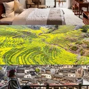 黄山旅游 缩略图 17