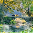 黄山旅游 缩略图 7