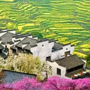 黄山旅游 缩略图 2