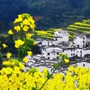 黄山旅游 缩略图 6