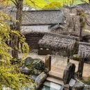 黄山旅游 缩略图 14
