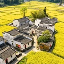 黄山旅游 缩略图 9