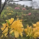 上饶旅游 缩略图 15