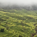 黄山旅游 缩略图 1